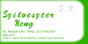 szilveszter meng business card